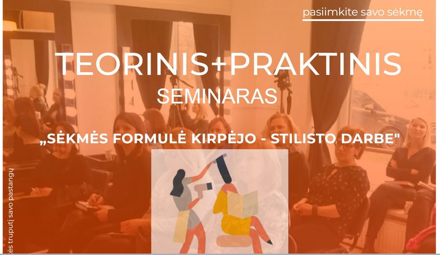 Sėkmės Formulė svetainės ekrano vaizdas